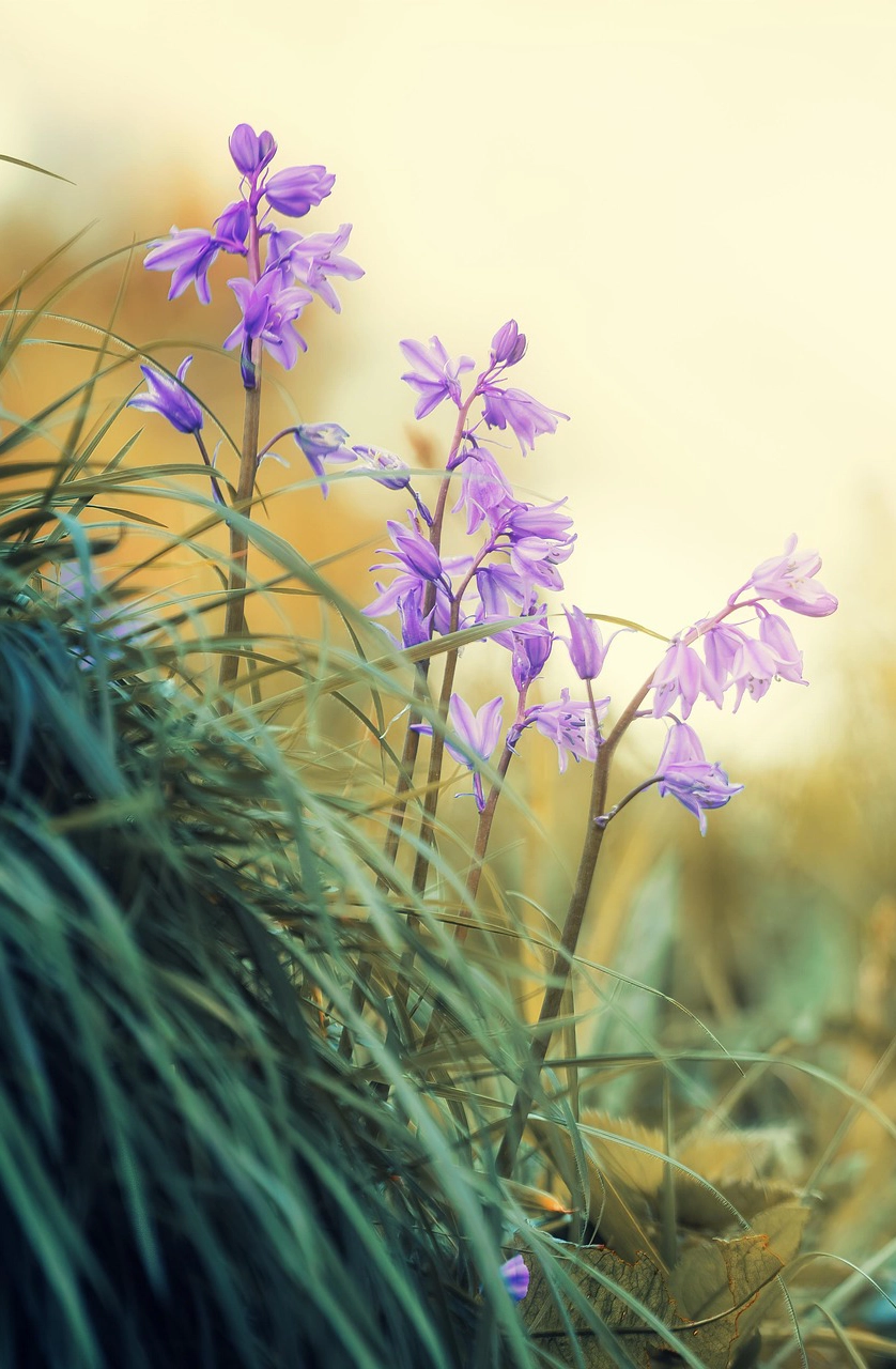 Kent Canterbury Counselling